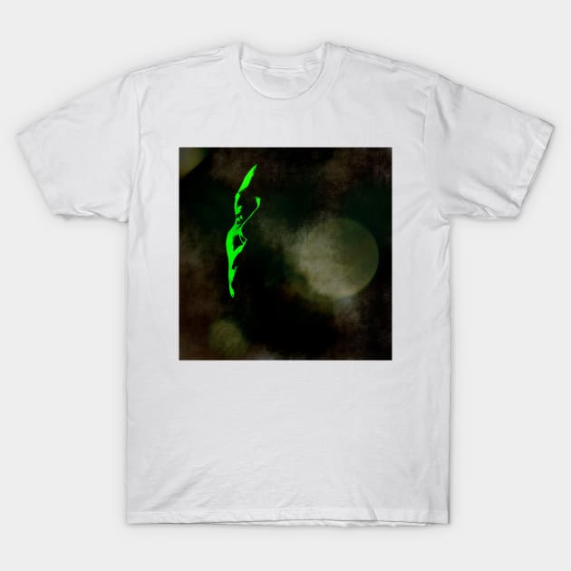 Emerging From The Darkness T-Shirt by JimDeFazioPhotography